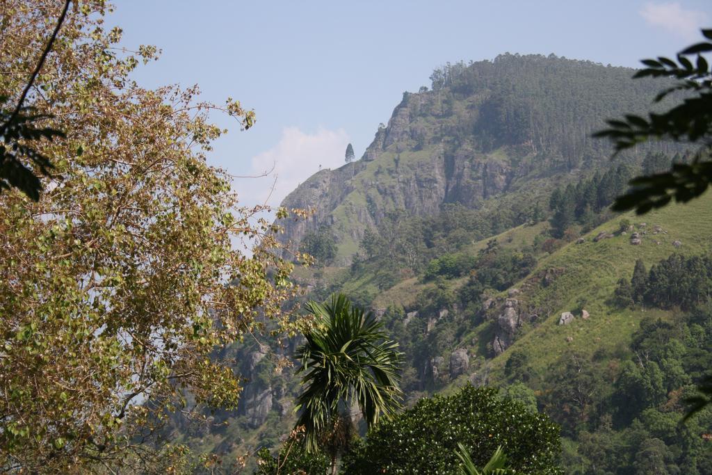 Village View Homestay Ella Exterior foto