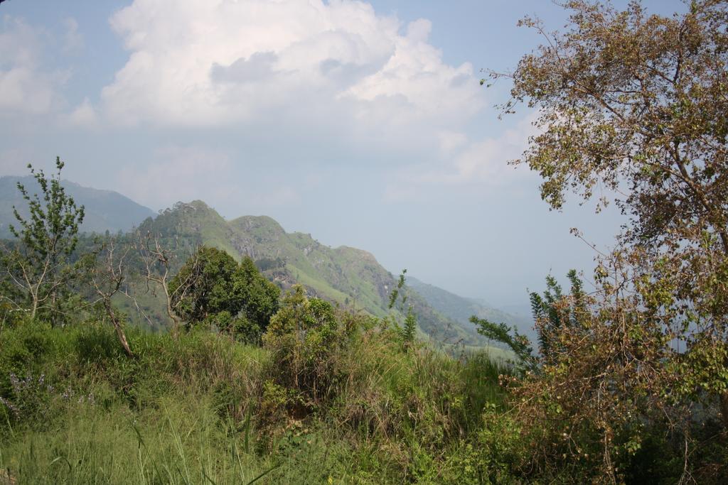 Village View Homestay Ella Exterior foto